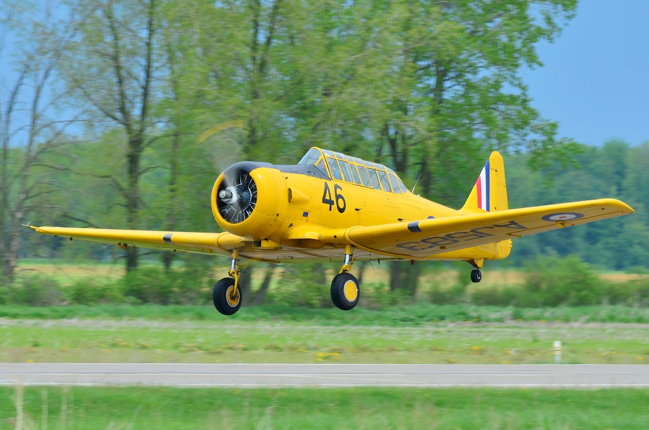 harvard3